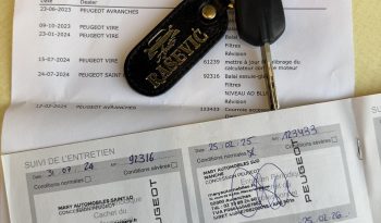 Peugeot 208 1.5 HDI 2022/23 god. 8mm lanac NAVI full