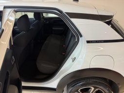 Citroen C4 Cactus 1.5 HDI 2019/20 NAVI LED full