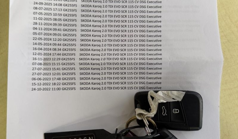 Škoda Karoq 2.0 TDI DSG 2022/23. god full