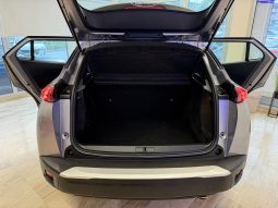 Peugeot 2008 1.5 HDI 2021. god 8 mm LANAC full