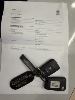 Škoda Karoq 2.0 TDI DSG 2022/23. god. full