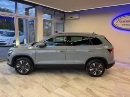 Škoda Karoq 2.0 TDI DSG 2022/23. god. full